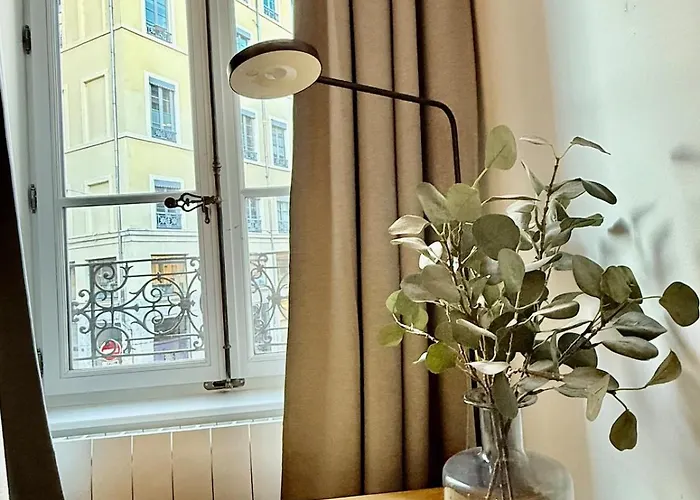 Apartment Art De Recevoir - Cocon Au Coeur De Avec Vue Sur Fourviere Lyon